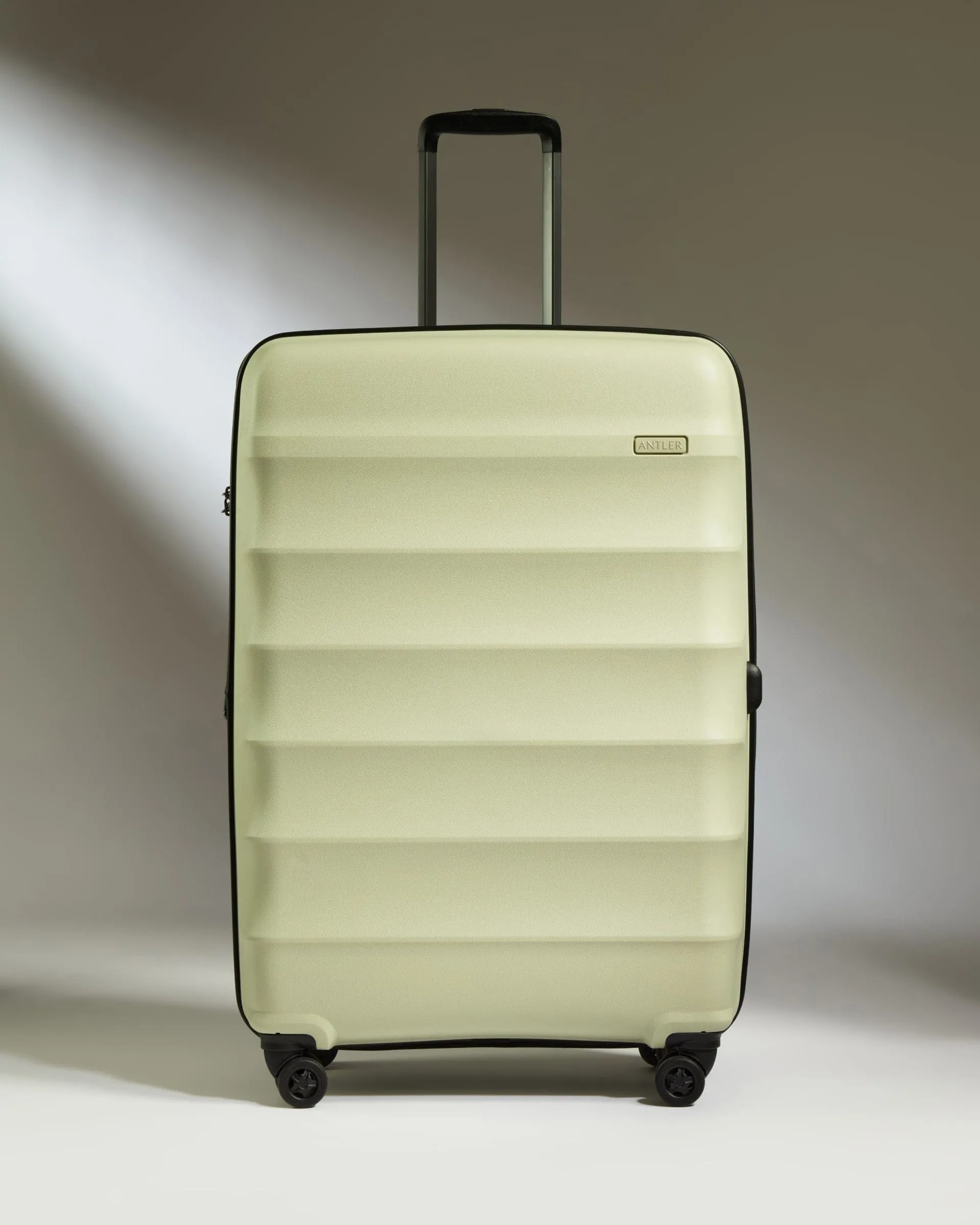 Large Suitcase in Pale Green - Juno