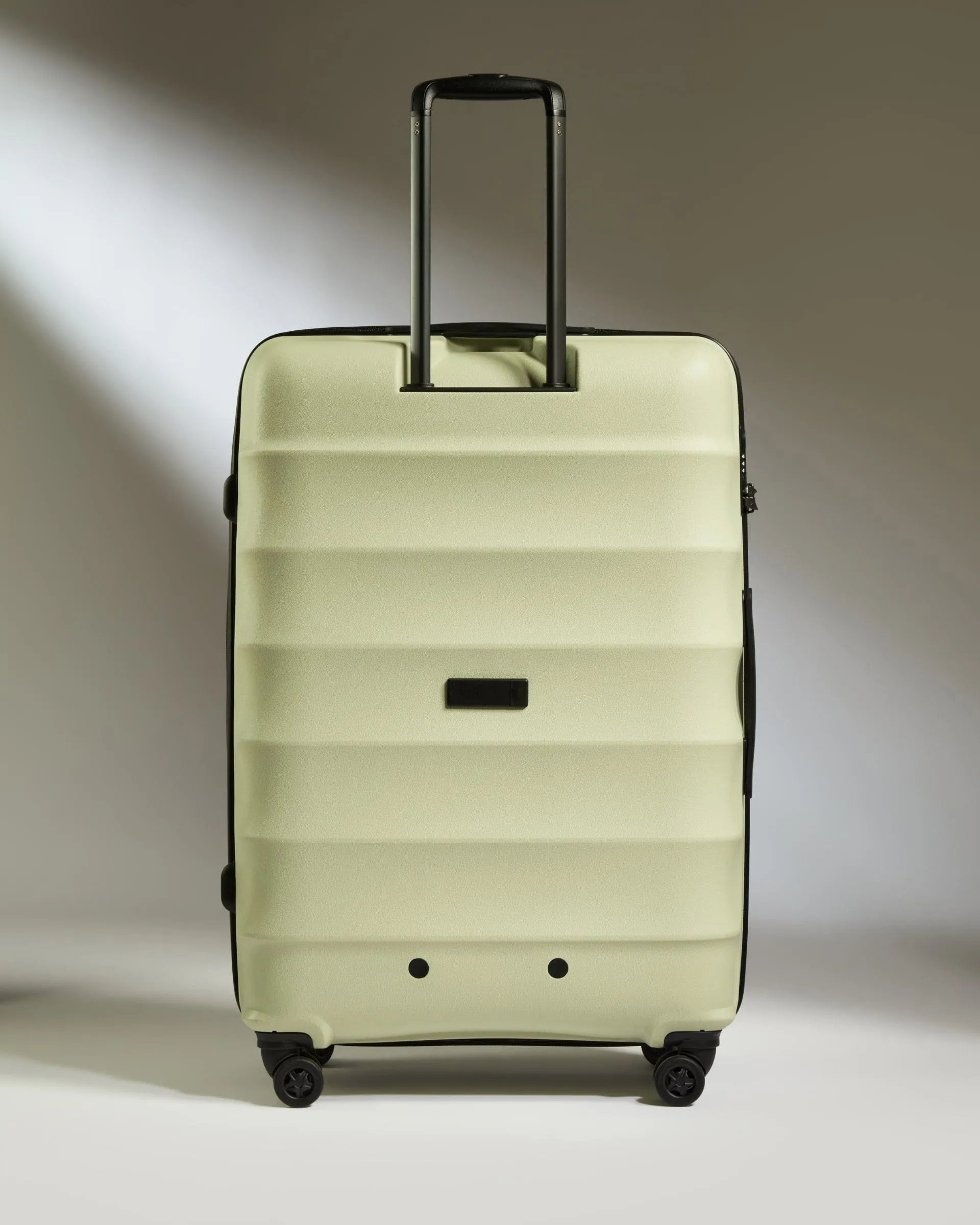 Large Suitcase in Pale Green - Juno